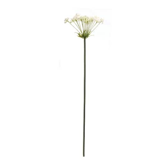 Queen Anne's Lace Stem, 2ct.